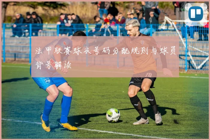 法甲联赛球衣号码分配规则与球员背号解读