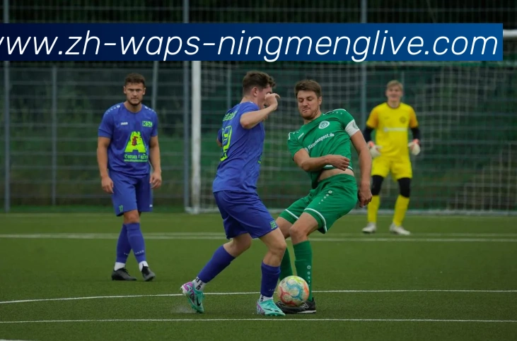 柠檬直播发展历程